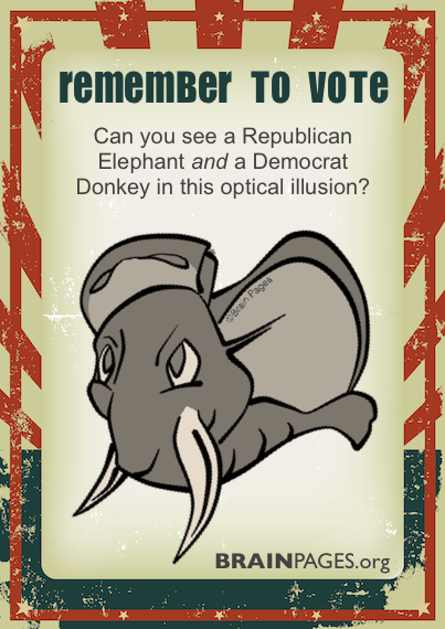 Republican and Democrat Optical Illusion